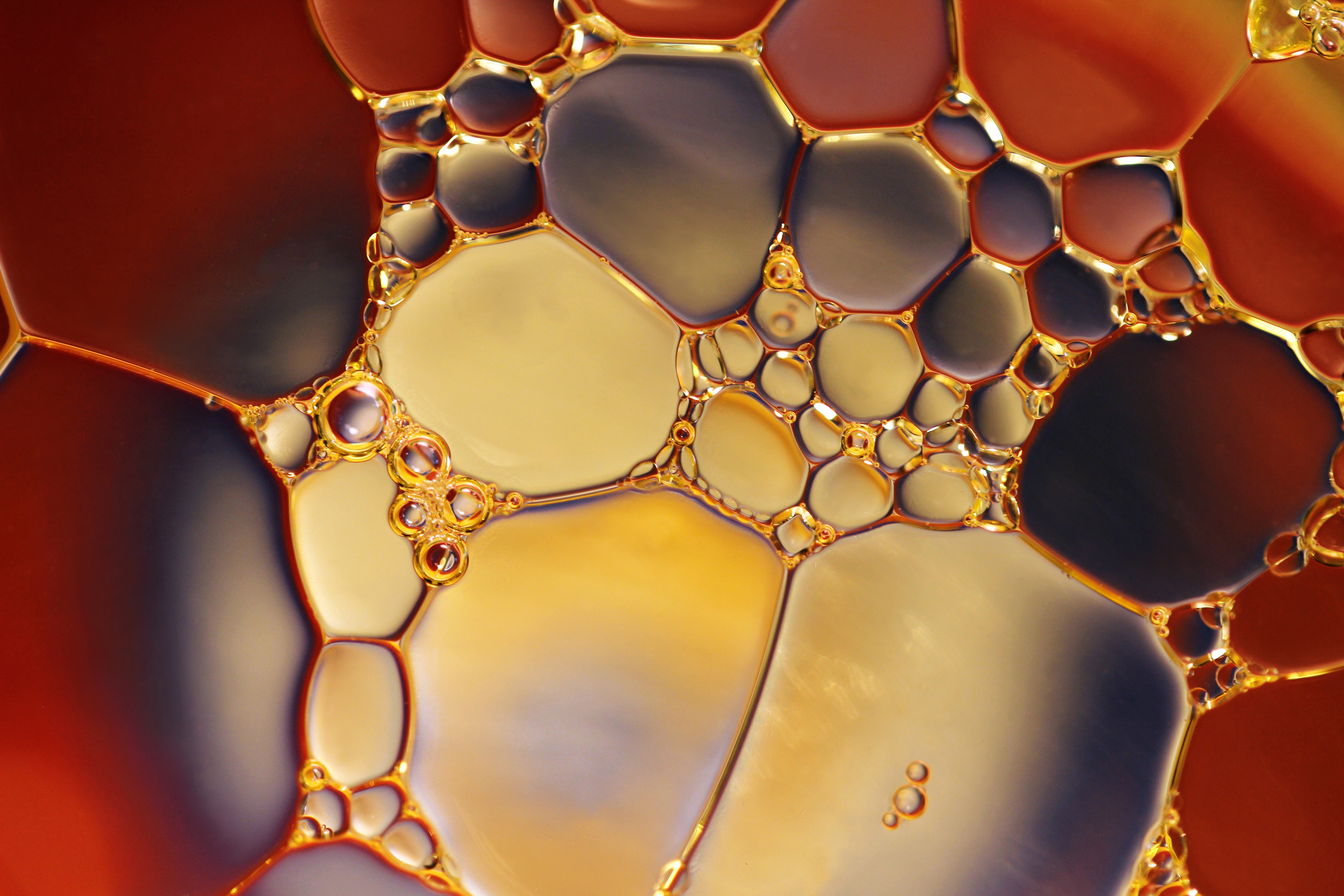 oil-bubbles-closeup